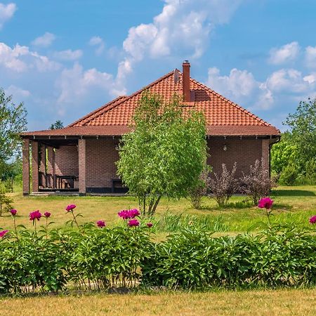 Prie Traku Villa Petkeniskes Exterior photo
